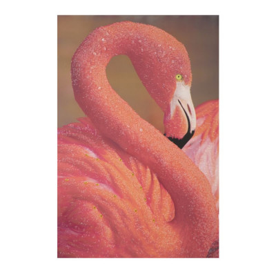 STAMPA SU TELA CON APPLICAZIONI -A- FLAMINGO CM 80X3,8X120